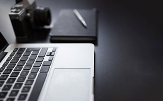 紫玫瑰的寓意与情感深度解析